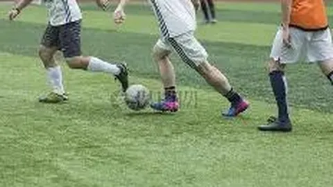 《独家揭秘：纽卡斯尔传奇高管园艺休假，年底华丽转身加盟意甲豪门尤文图斯！》